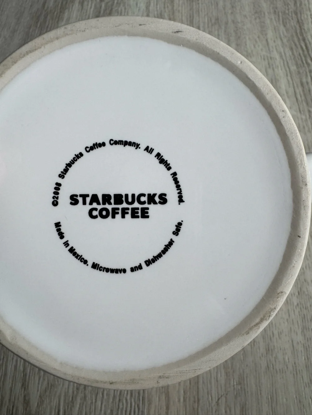 Starbucks Puerto Vallarta City Global Icon Collector Series Ceramic Coffee Mug L